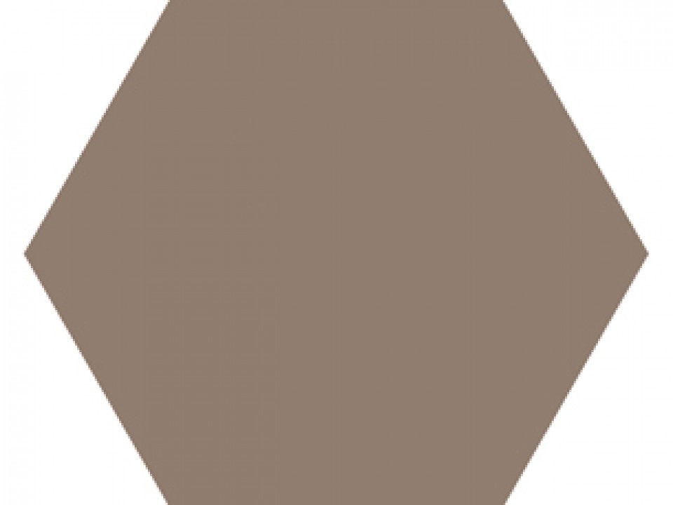 P21 Hexagone2