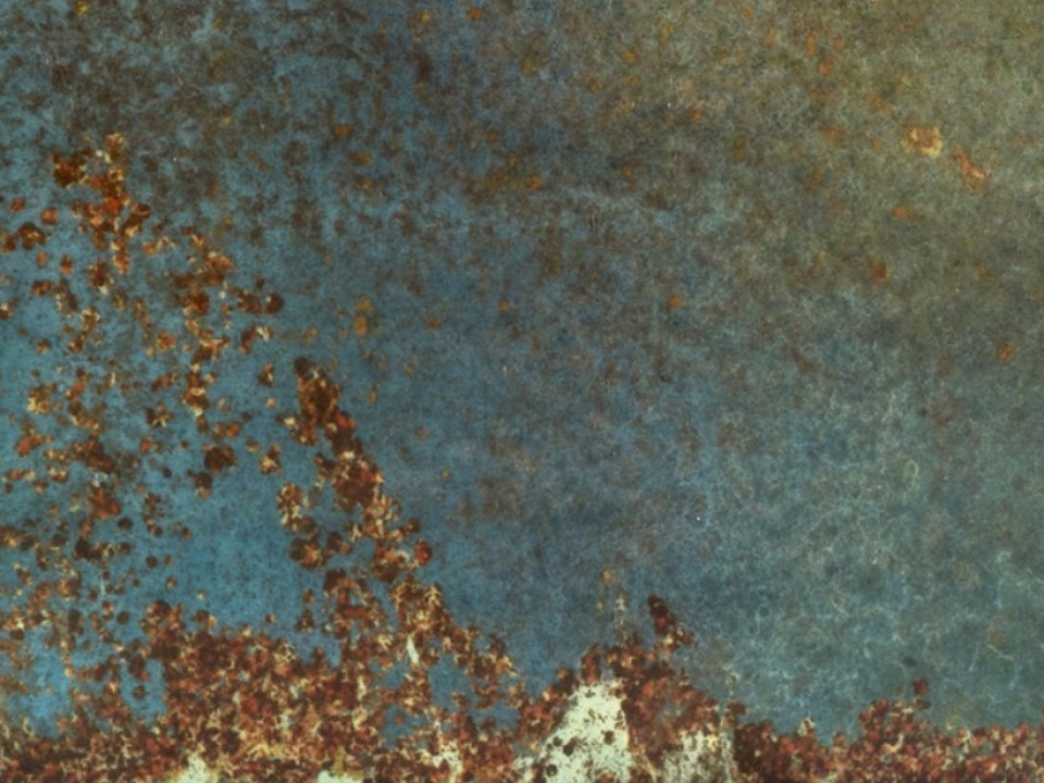 Reef1