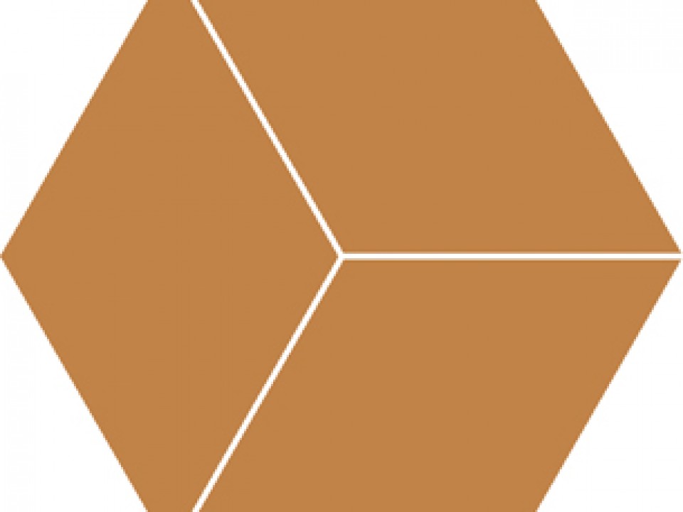 uni-caril-matt-r10-hexagon-197x197-mosaic-p21